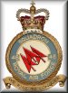 46 Squadron Crest and return to Home Page